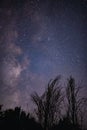 The milky way galaxy observed from a wild and dark place. Night details with the sky full of stars and silhouettes of trees Royalty Free Stock Photo