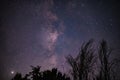 The milky way galaxy observed from a wild and dark place. Night details with the sky full of stars and silhouettes of trees