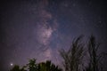 The milky way galaxy observed from a wild and dark place. Night details with the sky full of stars and silhouettes of trees