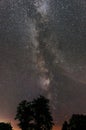 Milky way galaxy over a tree Royalty Free Stock Photo