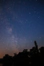 Milk way behind the forest