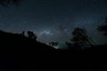 The milky way illuminated above the dark silhouette of the forest Royalty Free Stock Photo