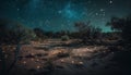 Milky Way illuminates dark nature landscape adventure generated by AI