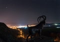 Milky way landscape with sheep. Beautiful night sky over Bulgaria. Europe.