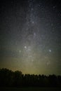 The milky way and millions of stars above the forest.