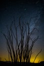 Milky way at night in Anza Borrego Desert State Park