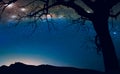 The milky way in the night sky and dead tree, Fantasy landscape