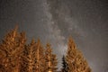 milky way over the forest, Carpathians, Ukraine Royalty Free Stock Photo