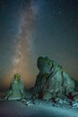 Milky Way Over Ocean Sea Stacks Along The Pacific Oceang Royalty Free Stock Photo