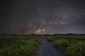 Milky way at paddy field Royalty Free Stock Photo