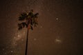 Milky way with a palm tree in Nyepi in Bali