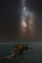 Milky Way in the Reef of Las Sirenas