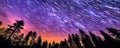 The Milky Way rises over the pine trees on a foreground. Generative AI Royalty Free Stock Photo