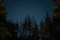Milky Way rises over the pine trees on a foreground Star night over woodland Royalty Free Stock Photo