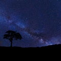 Milky Way with silhouette with hills and one tree.