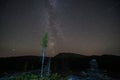 Milky way and starry sky over night scene outdoors in the forest and the mountains with old tree in the front. Royalty Free Stock Photo