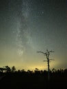 Milky way stars night sky Lyra constellation observing Royalty Free Stock Photo