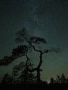 Milky way stars and perseids meteors observing