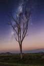 Milky way stars shine bright over rural farmlands