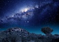 Milky way stars in South Africa Royalty Free Stock Photo