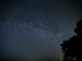 Milky way stars and trees on night sky Royalty Free Stock Photo