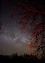 Milky way strars observing over latvian fields Royalty Free Stock Photo