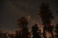 Milky Way with Tall Lodgepole PInes