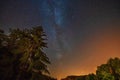 Milky way and tree around