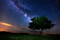 Milky Way and an alone tree on the mountain. Royalty Free Stock Photo