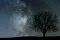 Milky Way and tree. Night landscape. Space background. Royalty Free Stock Photo