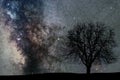 Milky Way and tree. Night landscape. Space background. Royalty Free Stock Photo