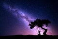 Milky Way with tree and woman practicing yoga Royalty Free Stock Photo