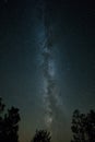 Milky Way with trees in the foreground. Dark night in Sweden Royalty Free Stock Photo