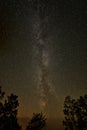 Milky Way with trees in the foreground. Dark night in Sweden Royalty Free Stock Photo