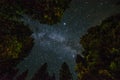 milky way in yosemite park