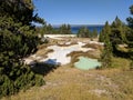 Milky white and greenish blue pools at Yellowstone National Park