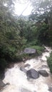  Milky white water goes downwards by neglecting small stones and rocks.