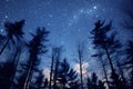 The Milkyway Is Blue, A Group Of Trees In The Sky