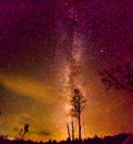 Milkyway stars for days Royalty Free Stock Photo