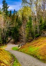 Mill Creek Nature Park, Greater Moncton, New Brunswick, Canada Royalty Free Stock Photo