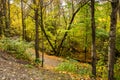 Mill creek ravine park in fall, Edmonton, Alberta, Canada