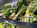 Mill Creek, WA USA - circa March 2023: Close up view of rainbow swiss chard for sale inside a Town and Country Market