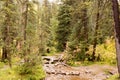 Stream in Cardiff Fork up Big Cottonwood Canyon