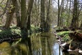 Mill drive on the river Oslava near SenoradskÃÂ½ mill in South Moravia Royalty Free Stock Photo