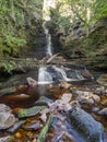 Mill Gill Force is one of the Yorkshire Dales National Park`s secret gems