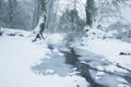 Mill leat in winter devon uk Royalty Free Stock Photo