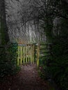 Mill Marsh Park Footpath St John's Lane, Bovey Tracey River Bovey Devon uk