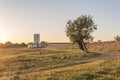 Mill and rustic house at dawn on a plot of land in the interior of the island of Mallorca