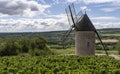 Mill Santenay Vineyards in Burgundy Royalty Free Stock Photo