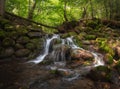 Mill Stream, Surroundings Of Ancient City Izborsk, Pskov Region, Russia.Beautiful Forest Creek In The Shade Of Green Trees. Landma